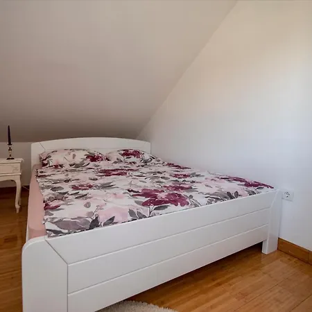 Pogled 公寓 特雷比涅